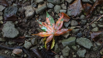 f:id:hatekota810:20160905193516j:image