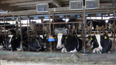 f:id:hatekota810:20160915201426j:image