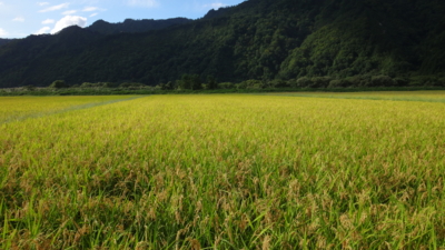 f:id:hatekota810:20161015181526j:image