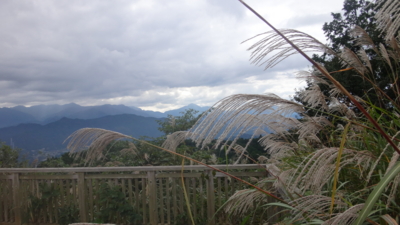 f:id:hatekota810:20161016192141j:image