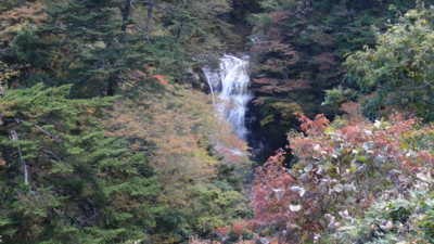 f:id:hatekota810:20161109200048j:image