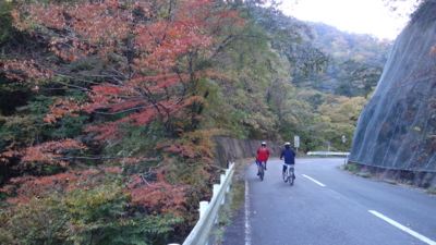 f:id:hatekota810:20161109200526j:image