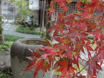 f:id:hatekota810:20161212193152j:image