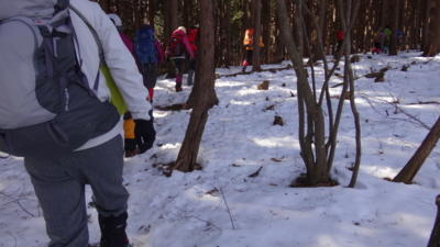 f:id:hatekota810:20170122194020j:image