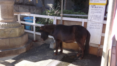 f:id:hatekota810:20170209191127j:image