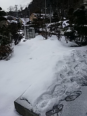 f:id:hatekota810:20170211123828j:image