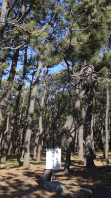 f:id:hatekota810:20170222194625j:image