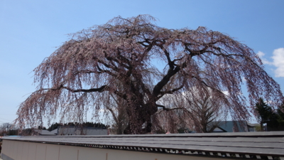 f:id:hatekota810:20170502193845j:image