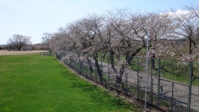 f:id:hatekota810:20170502195006j:image