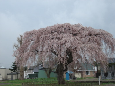 f:id:hatekota810:20170503182518j:image