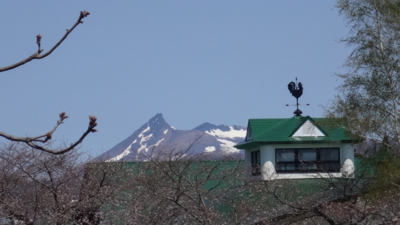 f:id:hatekota810:20170503183105j:image