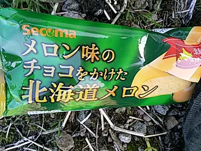 f:id:hatekota810:20170504200813j:image