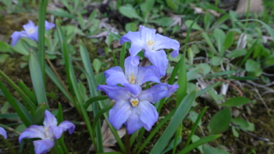 f:id:hatekota810:20170506184637j:image