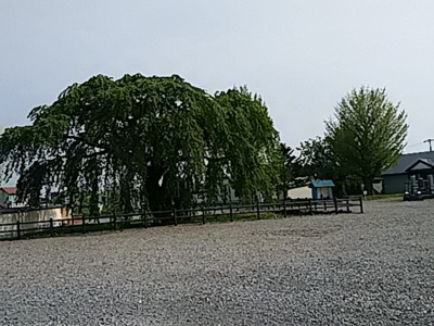 f:id:hatekota810:20170521193646j:image