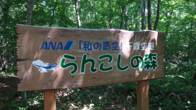 f:id:hatekota810:20170709142752j:image