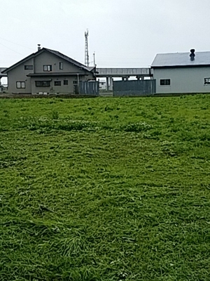 f:id:hatekota810:20170716072028j:image