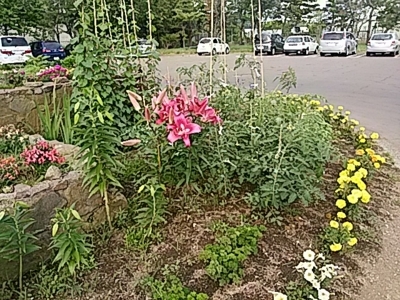 f:id:hatekota810:20170802173531j:image