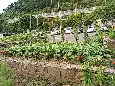 f:id:hatekota810:20170802173932j:image