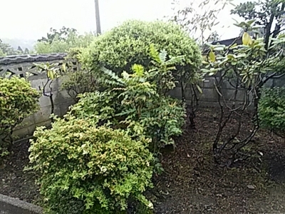 f:id:hatekota810:20170812173919j:image