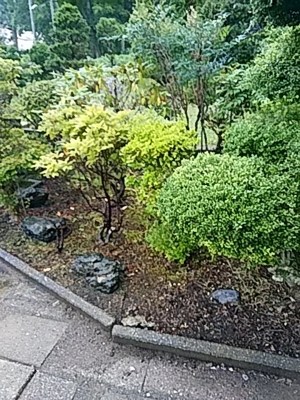 f:id:hatekota810:20170812174256j:image