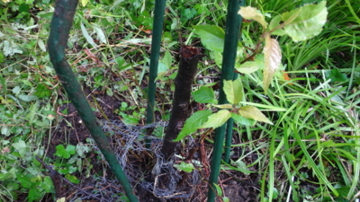 f:id:hatekota810:20170921181212j:image