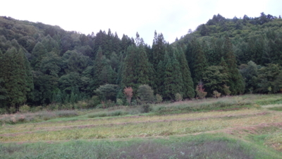 f:id:hatekota810:20170921182928j:image