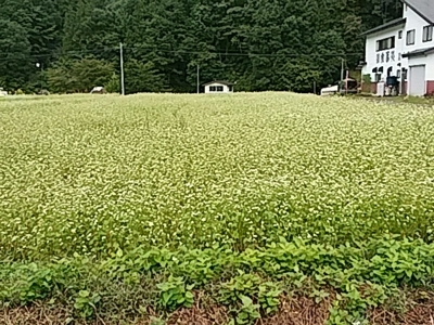 f:id:hatekota810:20170925183539j:image