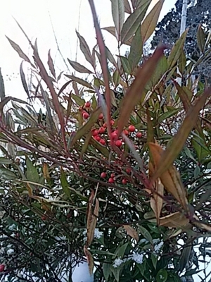 f:id:hatekota810:20171230174454j:image