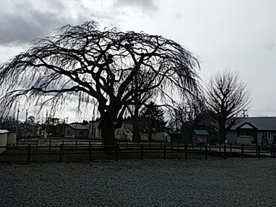 f:id:hatekota810:20180120191655j:image