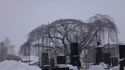 f:id:hatekota810:20180121140304j:image