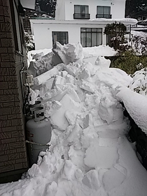 f:id:hatekota810:20180210163050j:image