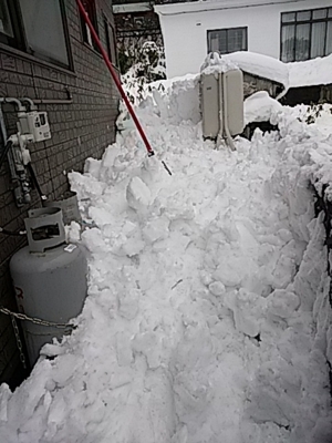 f:id:hatekota810:20180210163332j:image