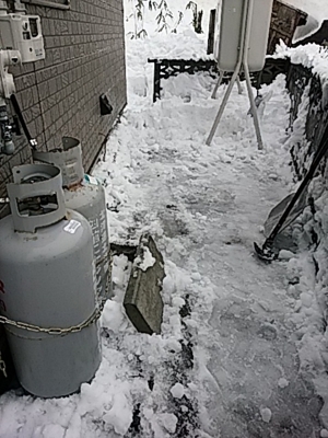 f:id:hatekota810:20180210163653j:image