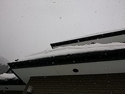 f:id:hatekota810:20180223182652j:image