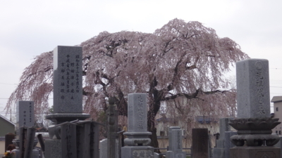 f:id:hatekota810:20180501182215j:image