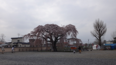 f:id:hatekota810:20180501182557j:image