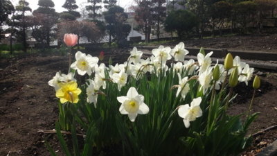 f:id:hatekota810:20180502163303j:image