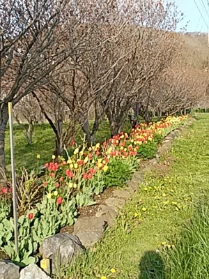 f:id:hatekota810:20180507181324j:image