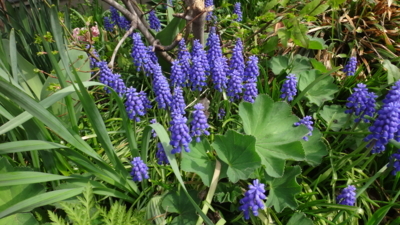 f:id:hatekota810:20180524182842j:image