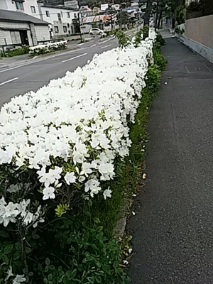 f:id:hatekota810:20180602183526j:image