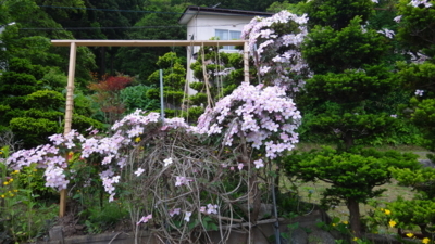 f:id:hatekota810:20180610184442j:image