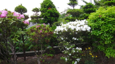 f:id:hatekota810:20180610190101j:image