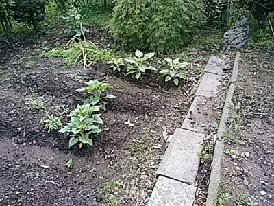 f:id:hatekota810:20180715074123j:image