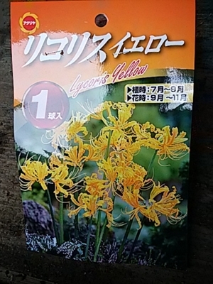 f:id:hatekota810:20180812222313j:image