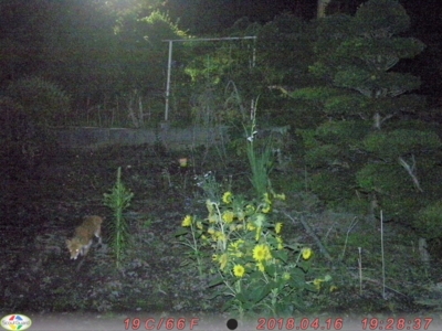 f:id:hatekota810:20180819090555j:image