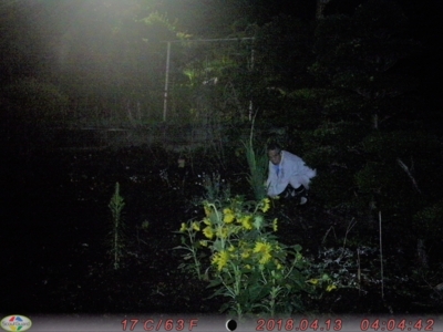 f:id:hatekota810:20180821062958j:image