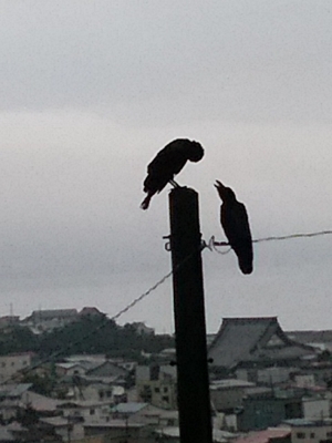 f:id:hatekota810:20180826194034j:image