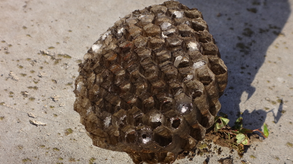 f:id:hatekota810:20180917203210j:plain