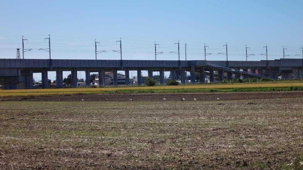 f:id:hatekota810:20180918135536j:plain