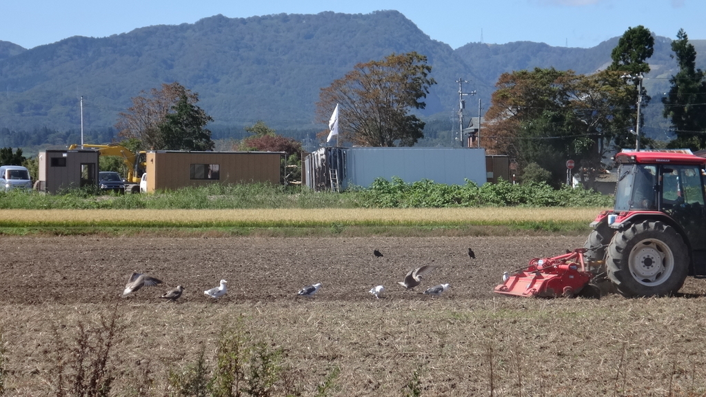 f:id:hatekota810:20180920185256j:plain